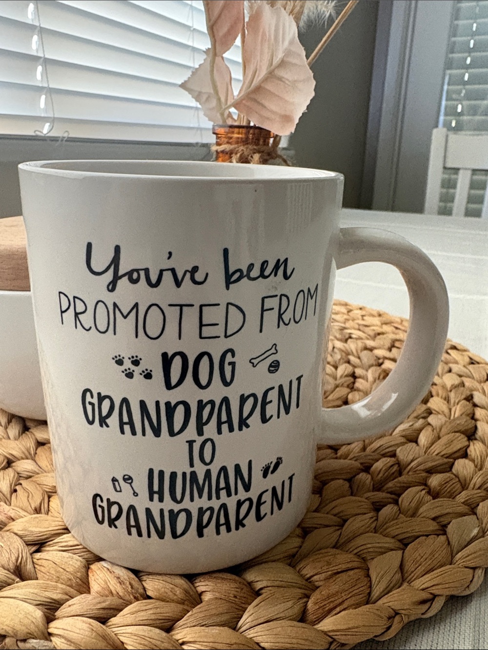 Promoted From Dog Grandparent To Human Grandparent White Mug